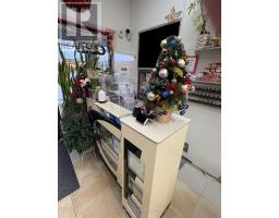 11 0 Steeles Avenue, Brampton, ON L6W4J6 Photo 3