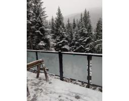 20458 Edelweiss Drive, Agassiz, BC V0M1A1 Photo 3