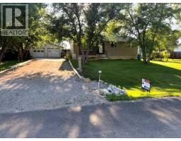 Other - 10 Main Street, Munson, AB T0J2C0 Photo 3