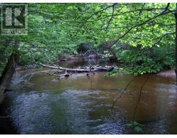 Three Rivers Road, Image 2