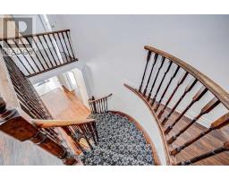 Family room - 44 Frontenac Avenue, Toronto, ON M5N1Z7 Photo 5