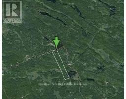 1839 Bear Cave Road, Muskoka Lakes, ON P0B1G0 Photo 3