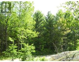 1839 Bear Cave Road, Muskoka Lakes, ON P0B1G0 Photo 4