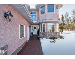 Recreation room - 47 Willow Springs Cr, Sylvan Lake, AB T4S1G3 Photo 5