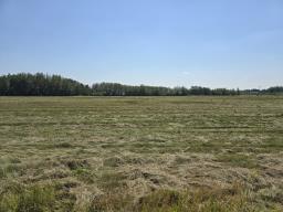 4520 49 Street, Redwater, AB T0A2W0 Photo 3