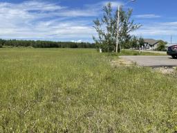 5002 50 Street, Brazeau County, AB T0E1Z0 Photo 3