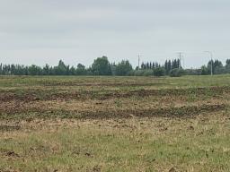 27525 79 Avenue, Stony Plain, AB T7Z1R3 Photo 5