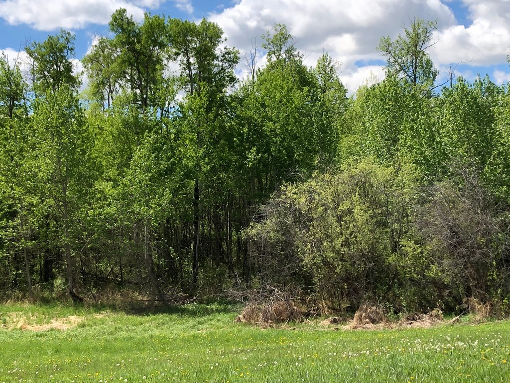 21 Crescent Belvedere, Beaver County, AB T0B 2M0 Photo 5