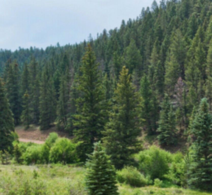 0 eaglet lake, Giscome, BC V0J Photo 3