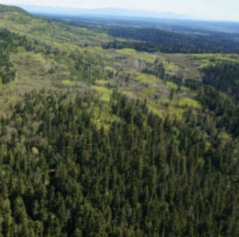 0 eaglet lake, Giscome, BC V0J Photo 4