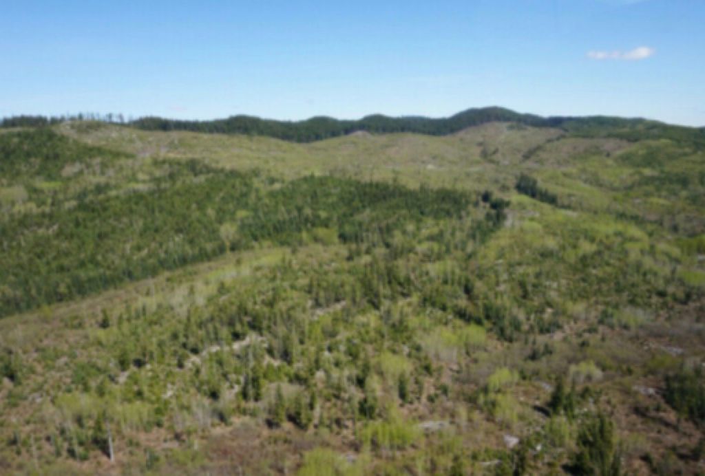 0 eaglet lake, Giscome, BC V0J Photo 5