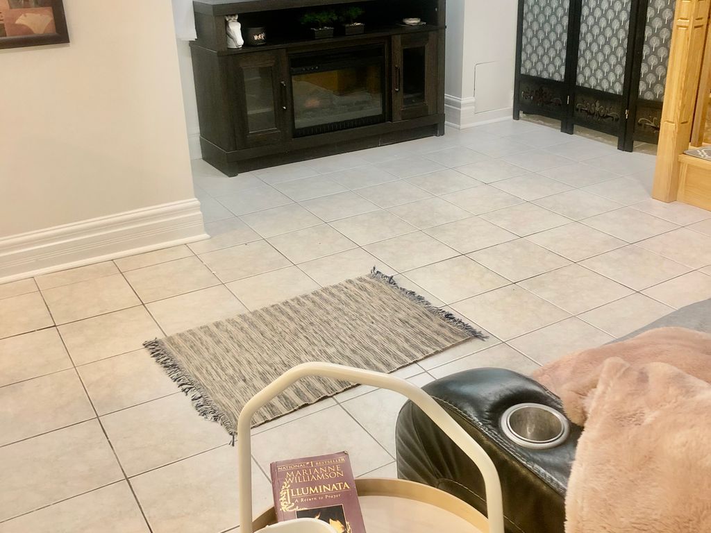 289 289 Laurentian Ave, Mississauga, ON L4Z 2S2 Photo 5