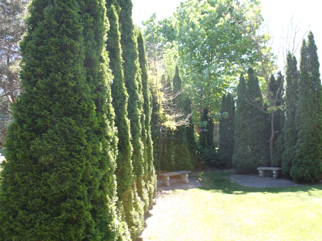 Photo 8 of 2 McRoberts Pl, Aurora ON