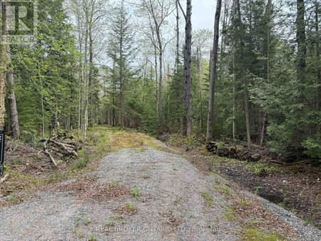 0 Bear Cave Road