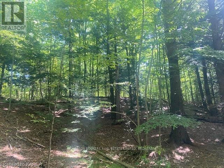 000 County Rd 11 Jones Falls Road