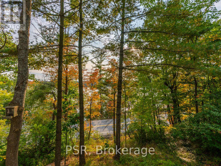 1 1356 1357 Peninsula Road, Muskoka Lakes, ON P0B1J0 Photo 1