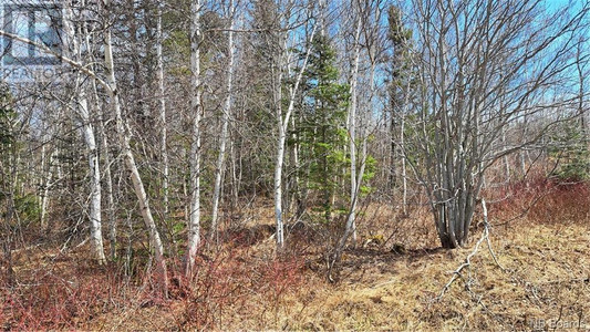 1 28 Acres Chemin Four Roads