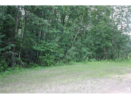 1 652051 Rng Rd 224, Rural Athabasca County, AB T9S1B9 Photo 1