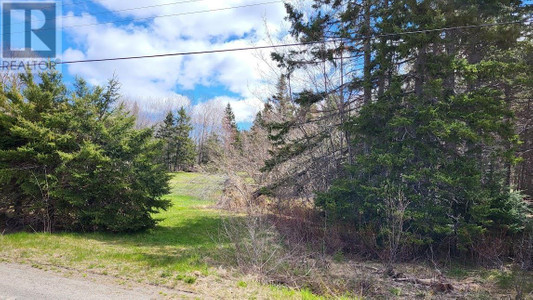 1 9 Acres 4 Highway, Linacy, NS B2H5C2 Photo 1