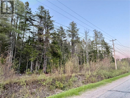 1 Acre Rte 455