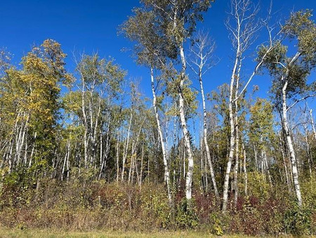 1 Ironwood Point Road