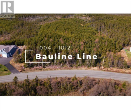 1008 1012 Bauline Parcel B Line, Bauline, NL A1K1E7 Photo 1
