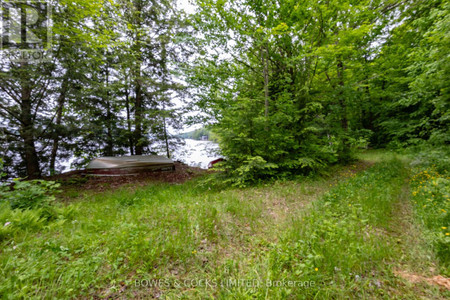1117 Thunderbird Lane Birch Island