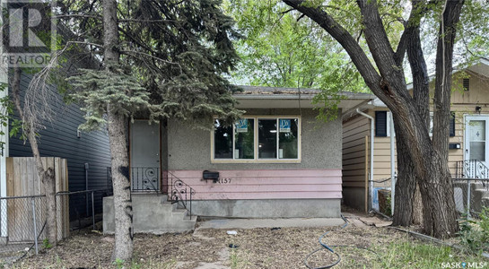 Kitchen - 1157 Cameron Street, Regina, SK S4T2S9 Photo 1