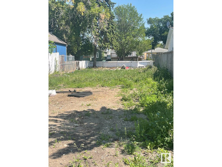 Living room - 11944 77 St Nw, Edmonton, AB T5B2G4 Photo 1