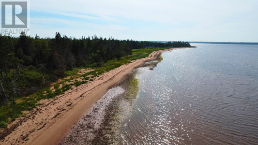 1320 Panmure Island Road