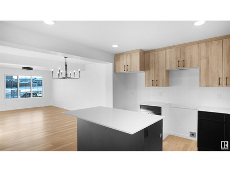 140 Ficus Wy