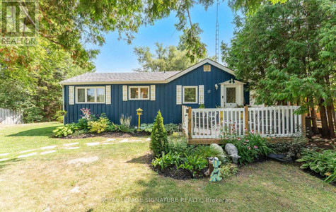 17 Mustard Street