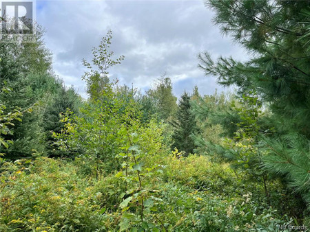 2 Acres Craigville Road, Miramichi, NB E1N5W1 Photo 1