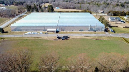 215 Windham Rd 10, Norfolk, ON N0E1H0 Photo 1