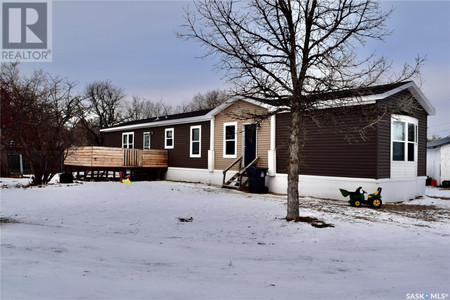 219 Young Street, Carievale, SK S0C0P0 Photo 1