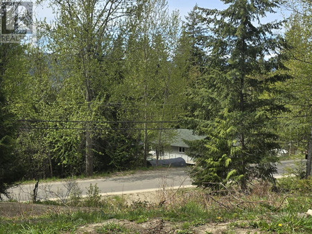 2702 Fraser Road, Anglemont, BC V0E1M8 Photo 1