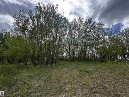 31 53120 Rge Road 15