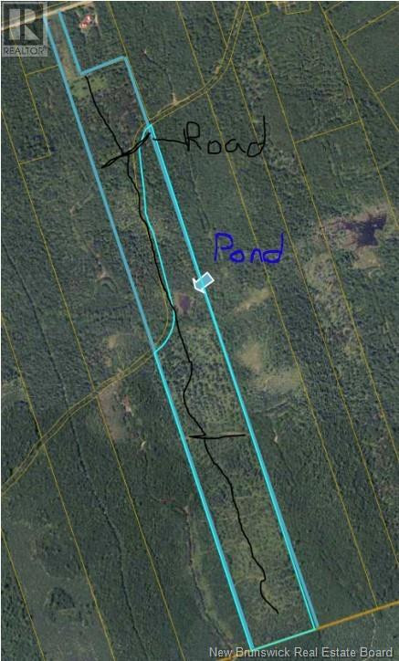 37 8 Hec Bettsburg Road