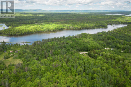 38 Acres Southside River Denys Rd, Valley Mills, NS B0E2Y0 Photo 1