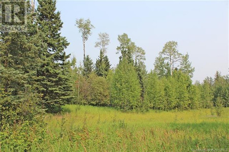 4 Forest, Rural Clearwater County, AB T4T2A4 Photo 1