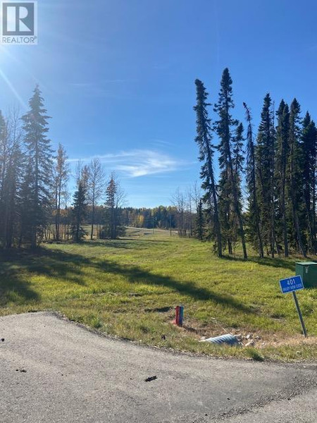 401 Valley View Close, Rural Clearwater County, AB T4T1A7 Photo 1