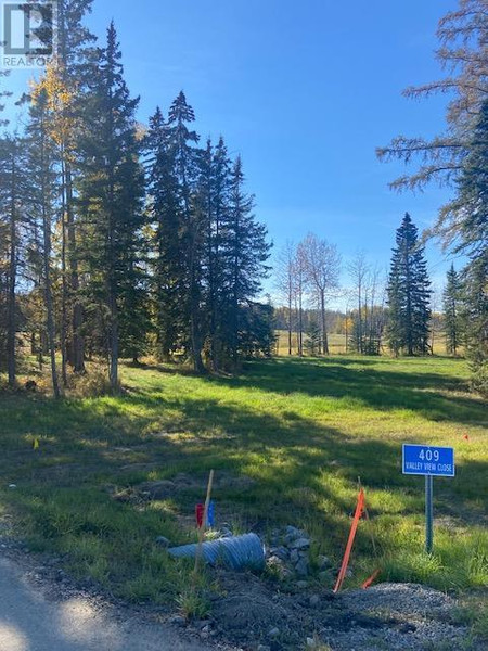 409 Meadow Ponds Drive, Rural Clearwater County, AB T4T1A7 Photo 1