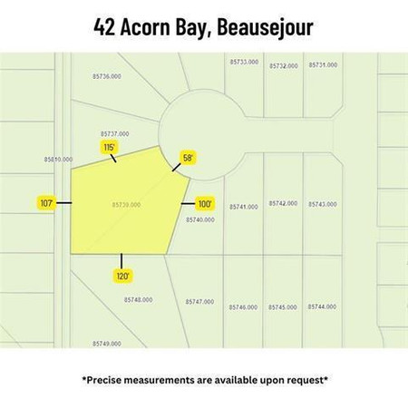 42 Acorn Bay, Beausejour, MB R0E0C0 Photo 1