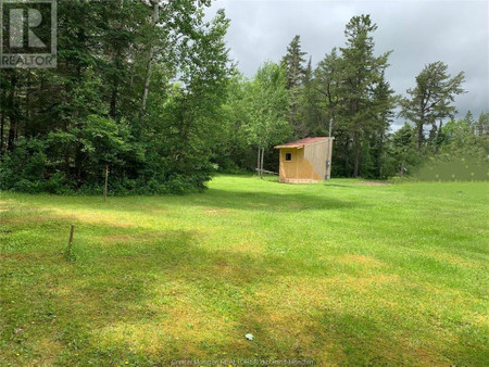 449 Cherryvale Rd, Canaan Forks, NB E4Z5X3 Photo 1