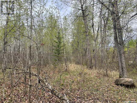5 5 Km South Of Dorintosh Lot 4