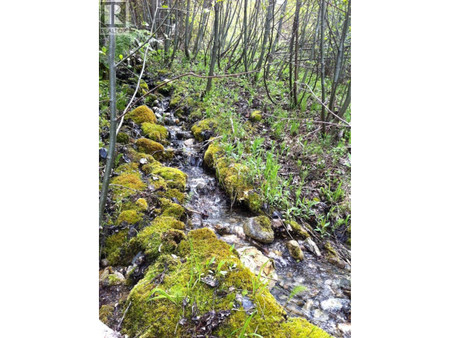 549 Rosebud Lake Road
