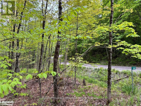 64 Woodland Drive