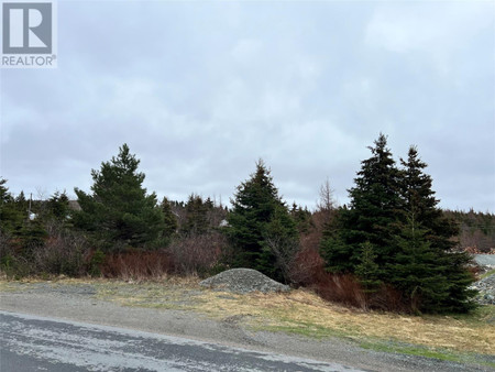 76 78 Seaforest Drive, Cupids, NL A0A2B0 Photo 1