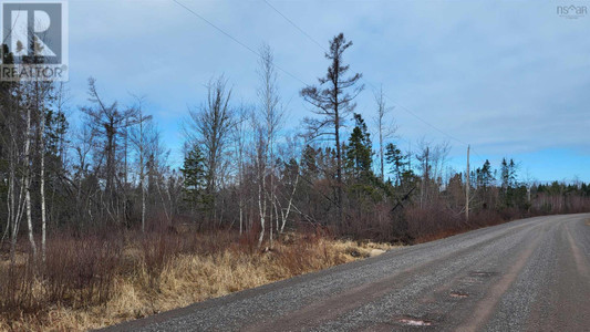 8 Acres Otter Road, Waterside, NS B0K1H0 Photo 1