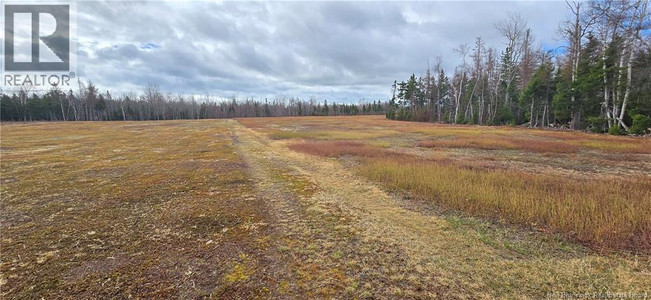 94 Acres Chemin Pallot